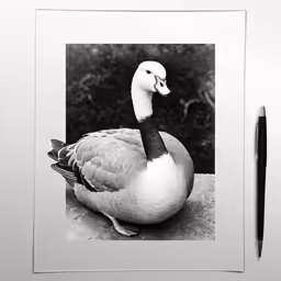 the pen is sitting next to a drawing of a goose