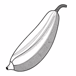 black and white picture of a banana on a white background