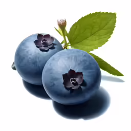 a couple of blueberries that have flower petals