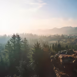 a mountain valley with evergreens and mountain range
