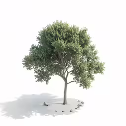 the lone tree is standing alone in the white snow