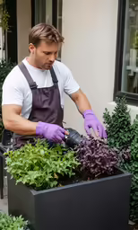 the man is in his garden fixing the plants