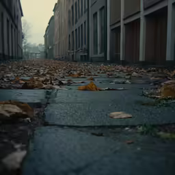 a deserted street with yellow leaves in the middle