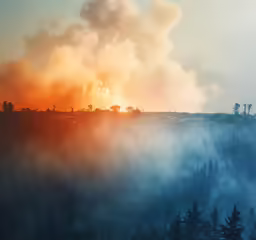 the flames in this photo are orange, yellow, and black
