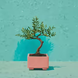 small, very green bonsai tree in a pink container