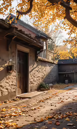 the street with leaves on the ground and a building in front