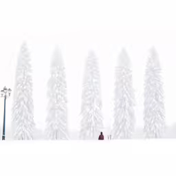 a man is standing on a snow covered hill in front of tall trees