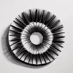 a circular object with multiple long, wavy sticks inside