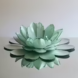 large, green flower on a reflective surface with a white wall in the background