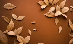 a group of leaves is lying on the ground
