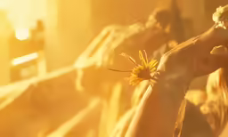 a person putting their hand over a dandelion in a room