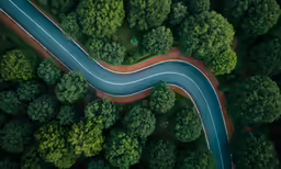 aerial view of two curving road through the woods