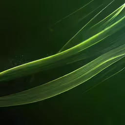 green blurry lines against a dark background