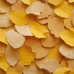 a bunch of leafy pieces of yellow