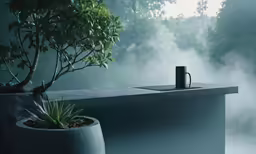 two potted plants sit next to an outside sink