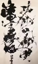 a black and white photograph with abstract ink brush design