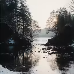 the sun is shining behind the trees over the water