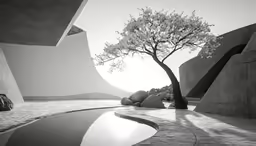 an open courtyard has rock walls and a tree