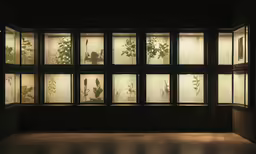 the windows at the building are covered with many plants