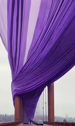 purple cloth covering the top of the structure