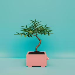 small potted tree in a pink square vase on top of blue wall