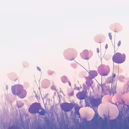 there are many purple flowers in the grass