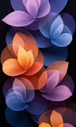 a group of blue and pink flowers on black