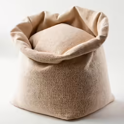 a bean bag is shown in the air