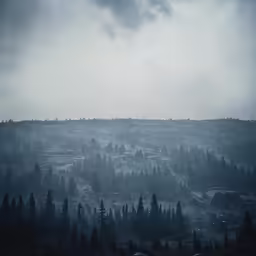 a hill surrounded by evergreen trees under cloudy skies