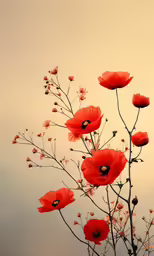 red flowers are in a black vase against a white wall
