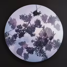 a circular sticker with tree leaves silhouettes on it