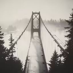 a large suspension bridge with fog rising on it