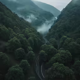 the mountain view has some mist and train tracks running down it