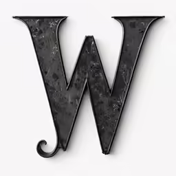 the letters w and h are black with white dots