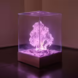 the fire burns in a glass case on the floor
