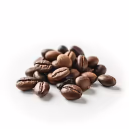 some coffee beans on a white background
