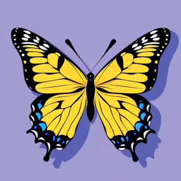a colorful butterfly on a blue background,the large butterfly has black and yellow wings