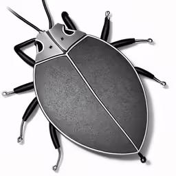 a bug that is black and white in color