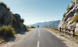 there is a lone figure standing on the road