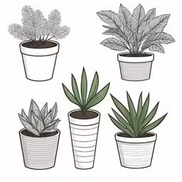 an assortment of potted plants
