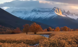 a valley with trees, mountains and a small stream