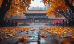 the ground is wet and leaves are on the ground