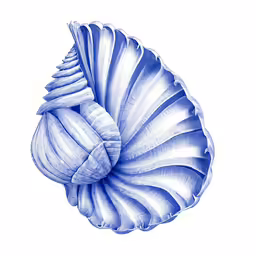 a drawing of a large blue shell