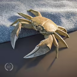 a toy crab on a counter top next to a towel