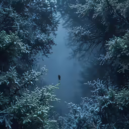 the view looking down into a dark forest with a bird on it