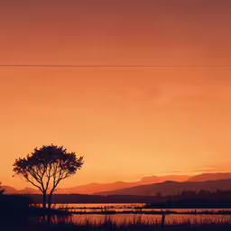 a lone tree in a field as the sun sets,a lone tree is silhouetted against a bright orange sunset