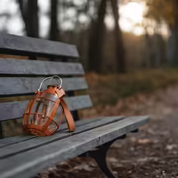 an old fashioned lantern sitting on a park bench