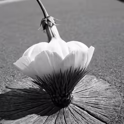 a large flower sitting on top of a tree stump