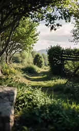a couple of gates leading into a forest