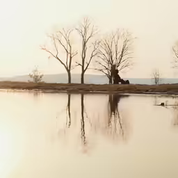 this is a couple of trees sitting in the grass by the water